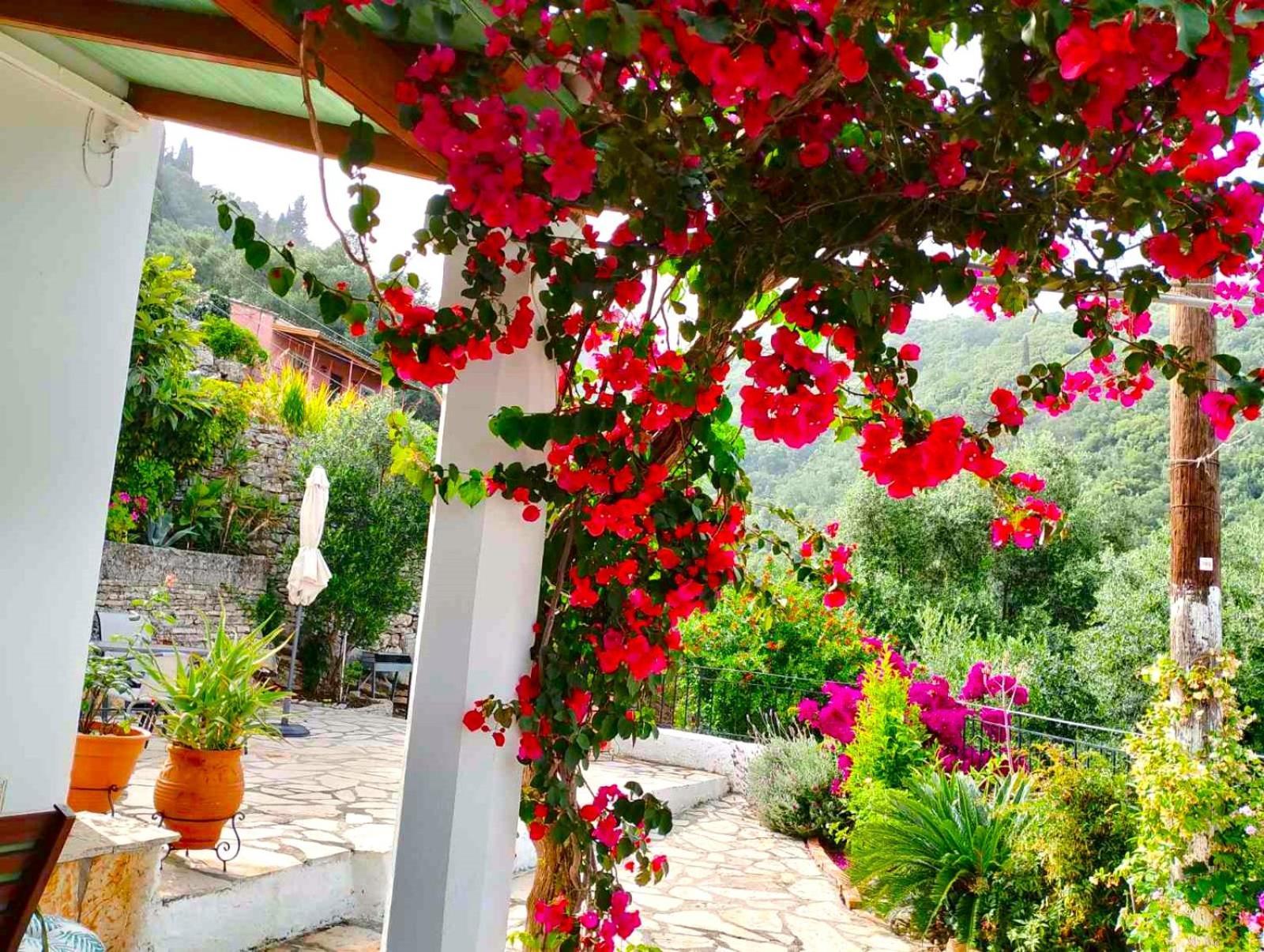 Villa Fior Di Corfu à Kalámi Extérieur photo